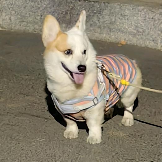 对方正在输入中...