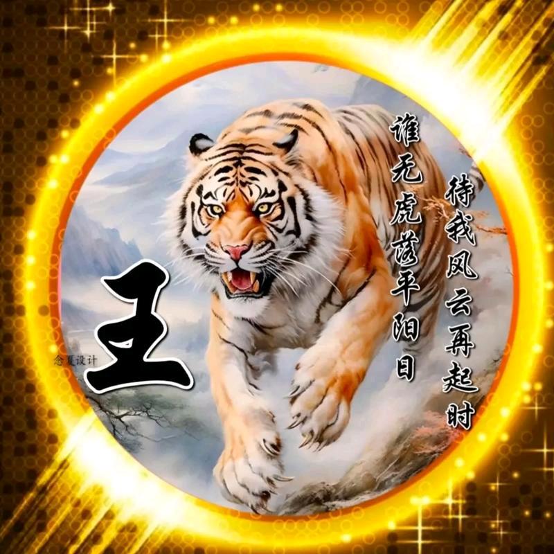 武隆二娃旧衣服回收