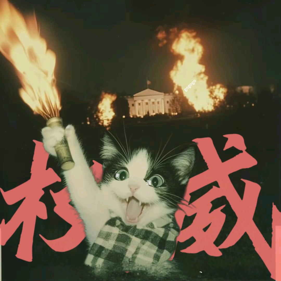 三分钟兴趣intp-a的Elodie