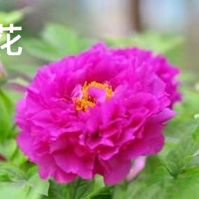 英姐私房水饺馄饨