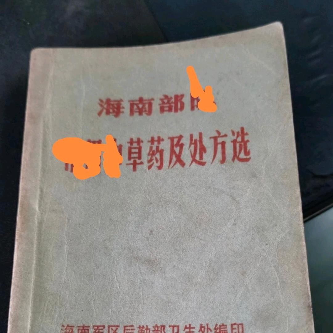 海南小李