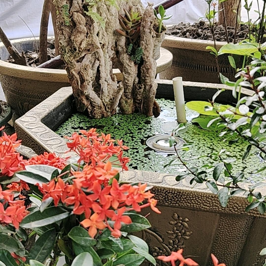 诚信度布艺，定制窗帘，床上用品