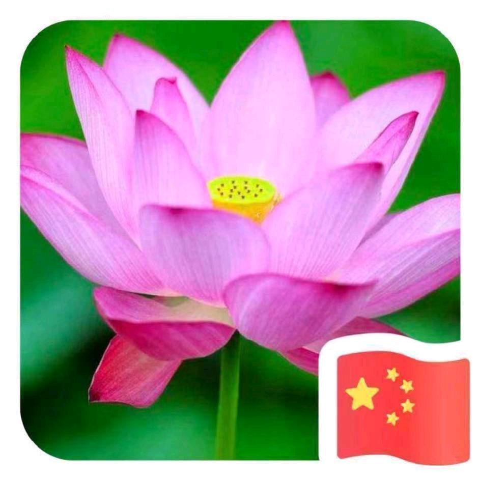 :-(往☘️事🌺如🌼风🌸》