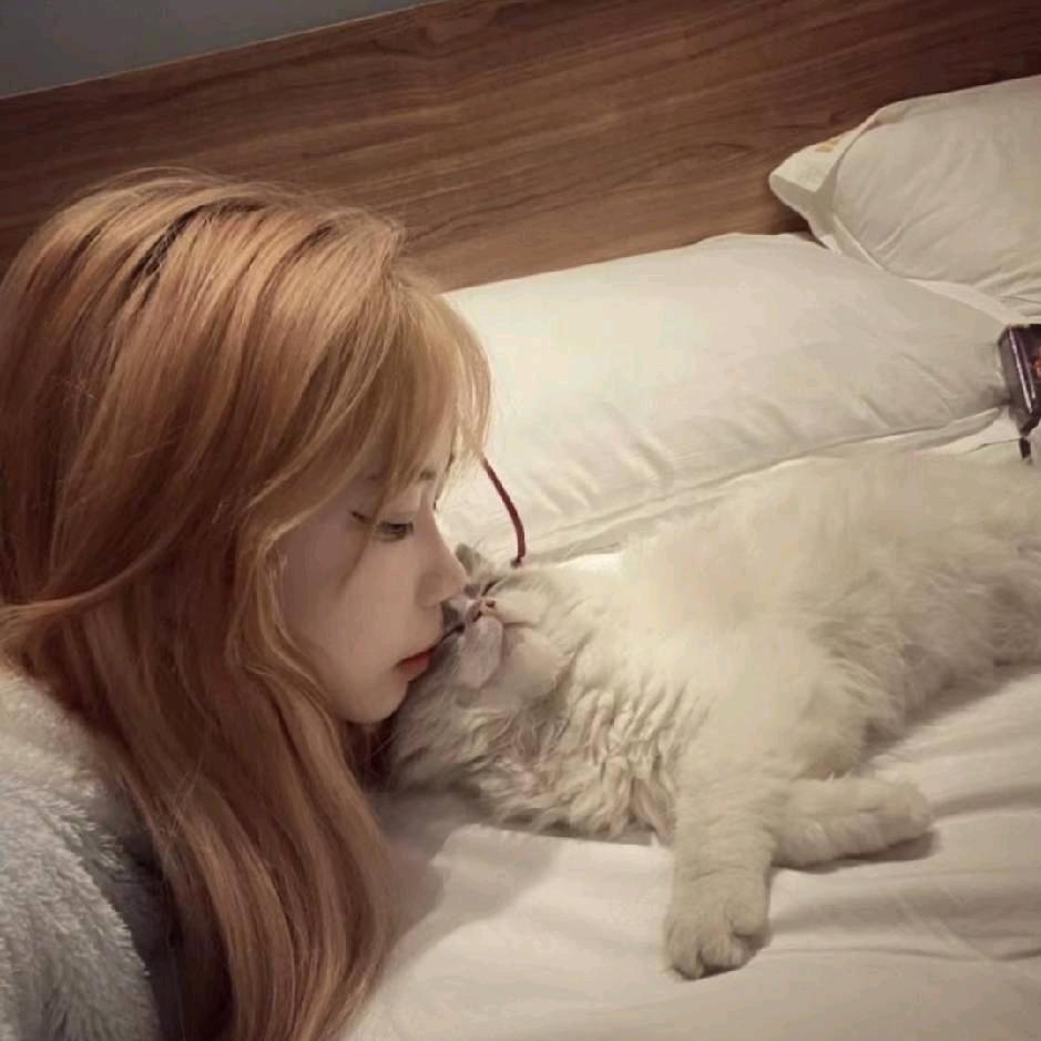 小歪Yoo