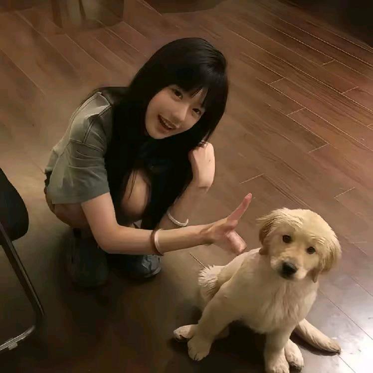小飞渔