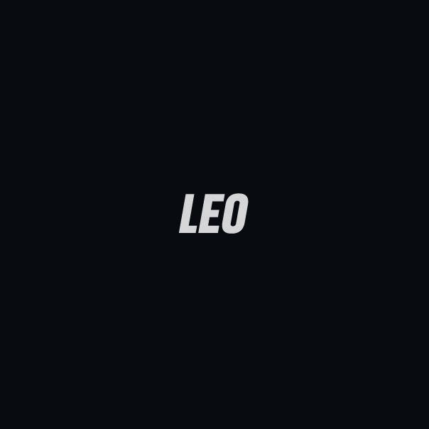 不会OC的LEO