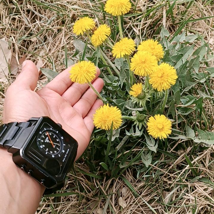 💔Šeฟ Geℳ···🌹