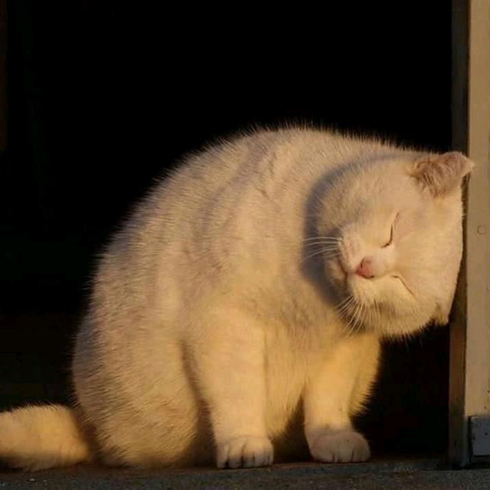 小陈在此