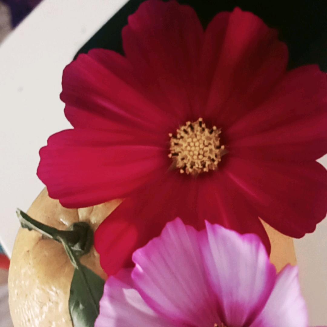 এ᭄千杯敬自由₅₂₀ོꦿృ༊