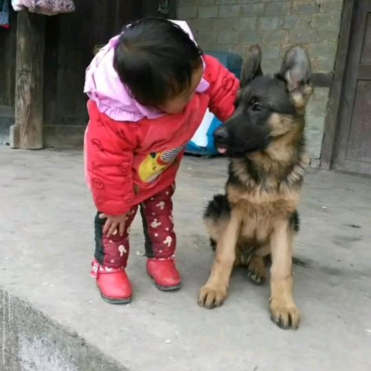 吴所谓