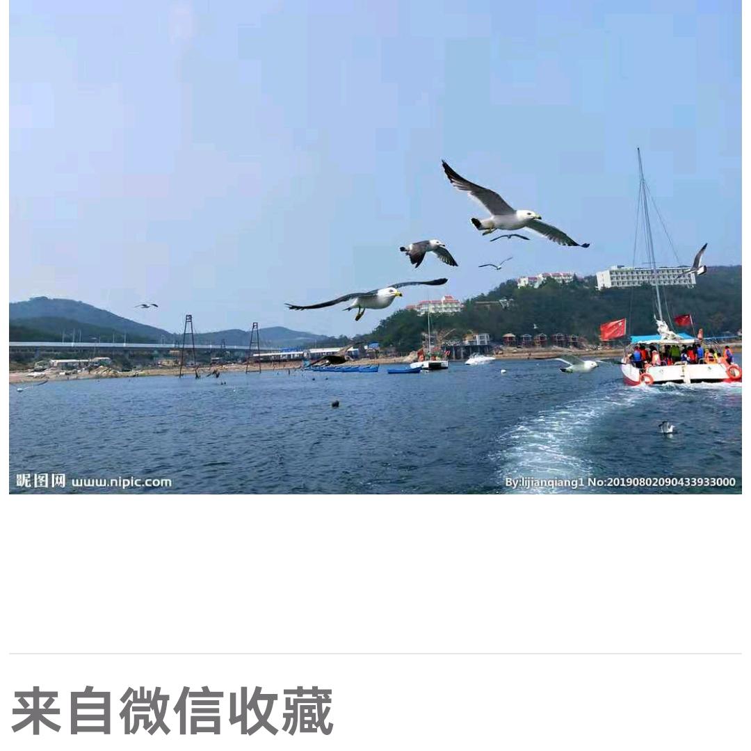 单身梦想