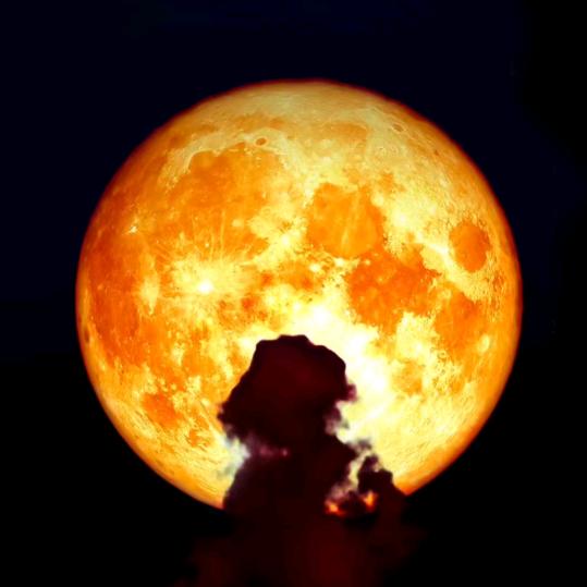 《悲喜🦋自渡》