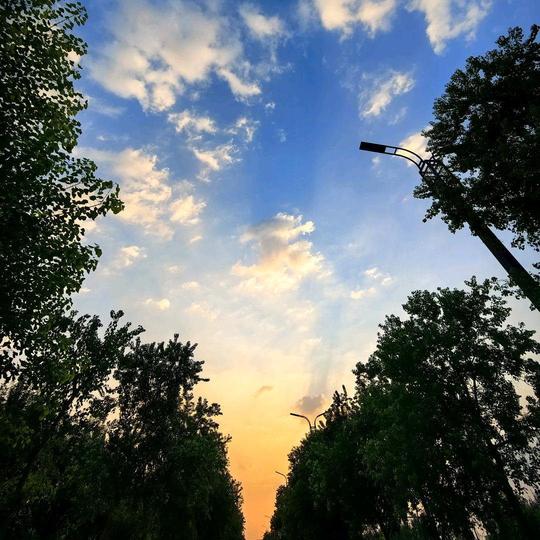 一枝梨花压海棠