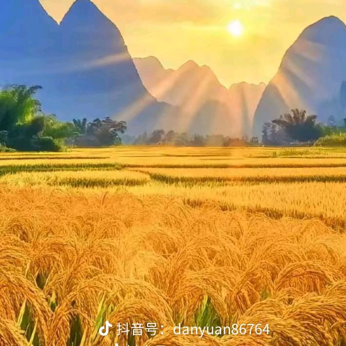 阿 辉    向钱進