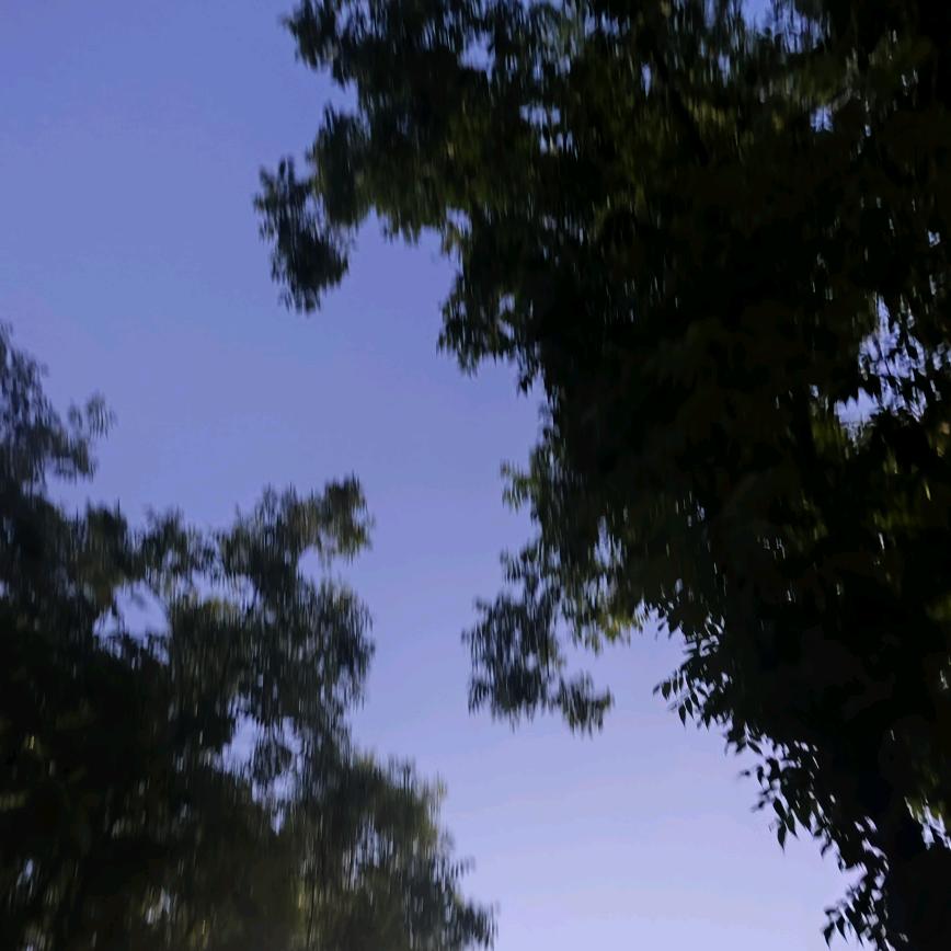 兔兔爱吃桃