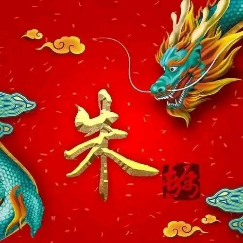 老实人（朱品中)