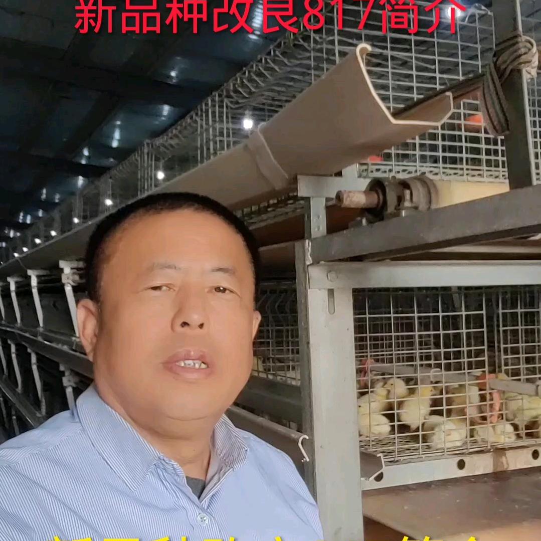 正德农牧销售基地