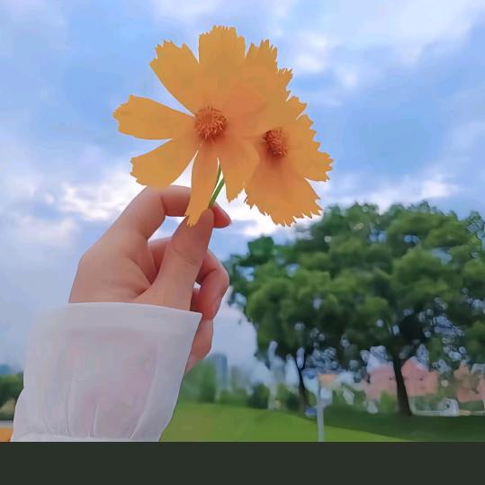 💞好运常在℘࿐ᩚ