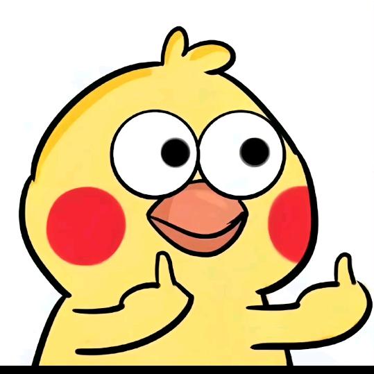 闪格 实芯隐形防护网