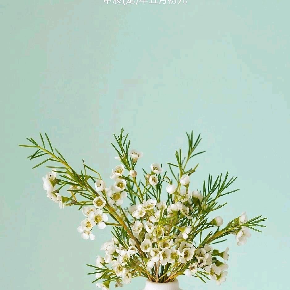 回意过去和现在