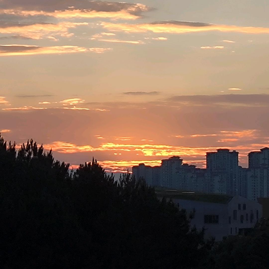 天空有座未亡城