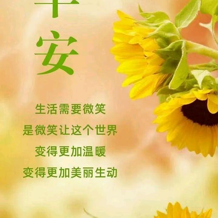 雨☔️中的梦