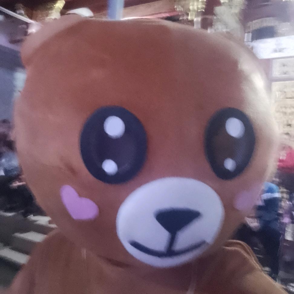 网红熊，谢谢您的谢，小谢，谢艺发，