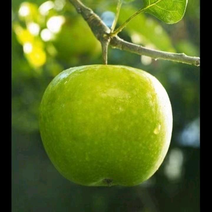 手机用户54744047479