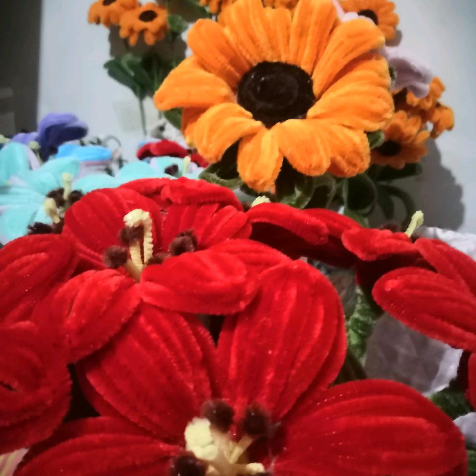 小樱