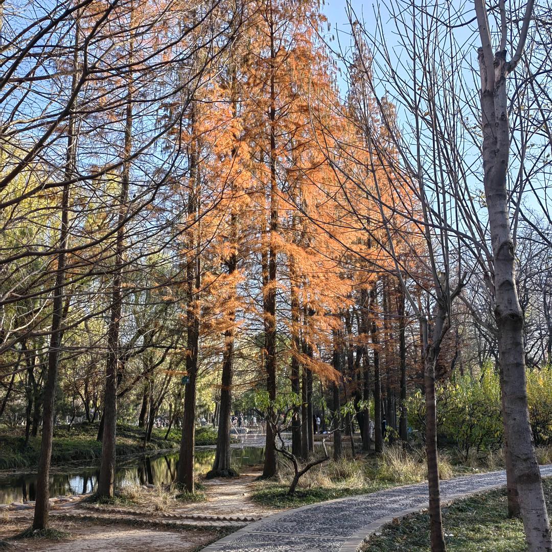 溜走的时光