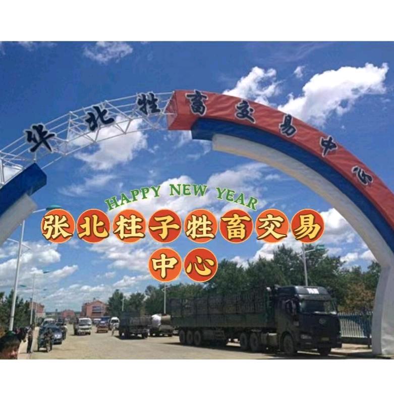 华北牛市柱子中介