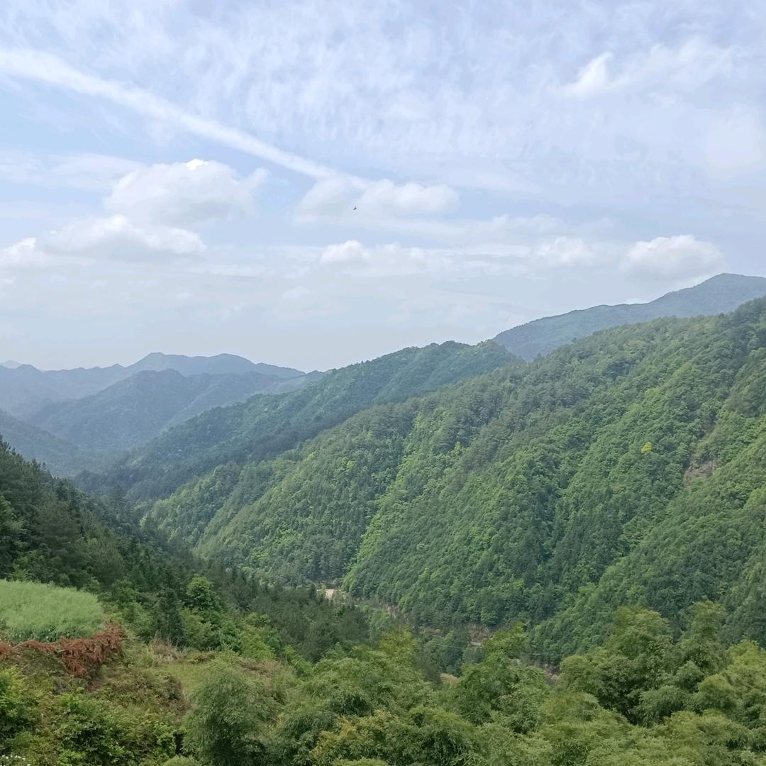 大勇游中国