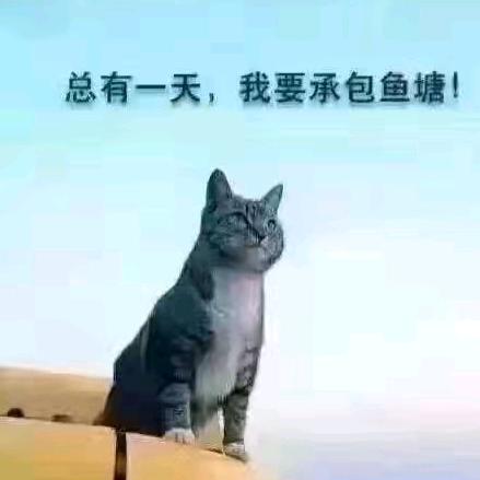 钓鱼哥一小梁