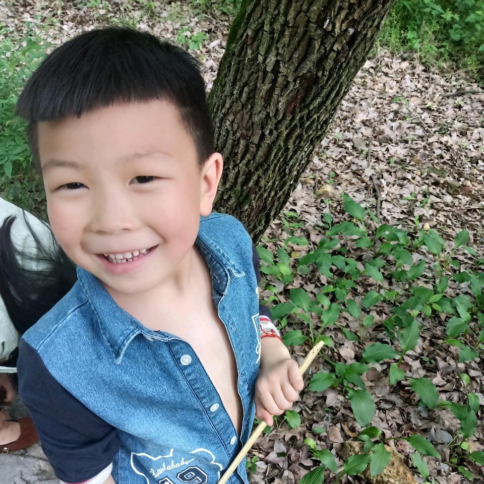 一块幸福的砖