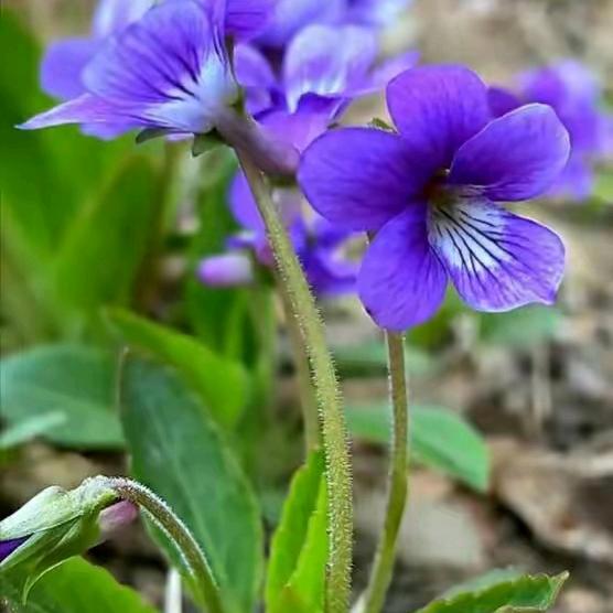 余生安好_(:з」∠)_