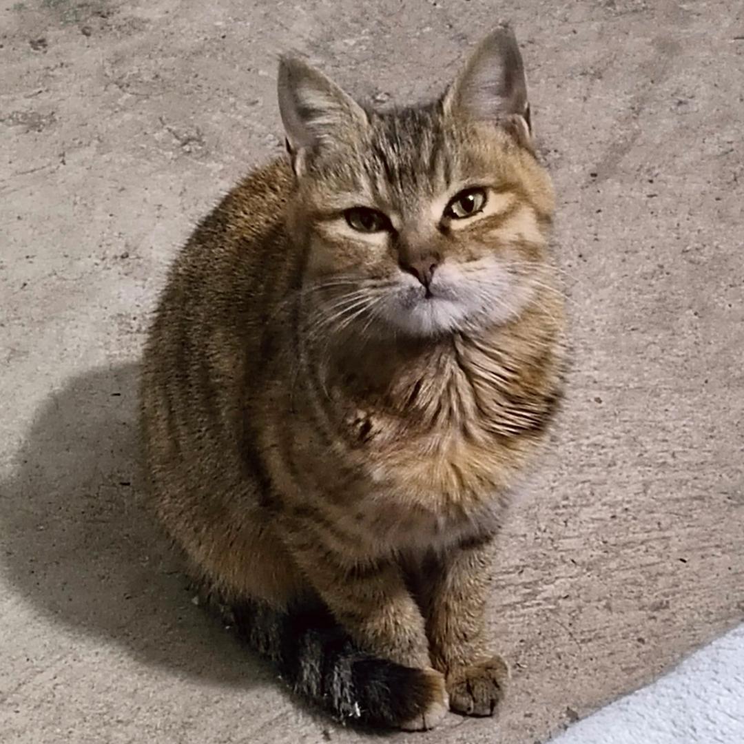 小余。。
