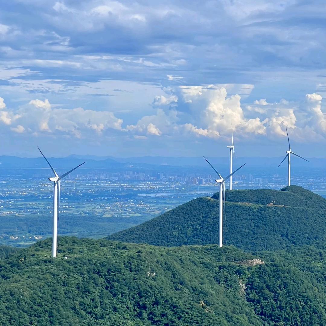 合肥包河王良生