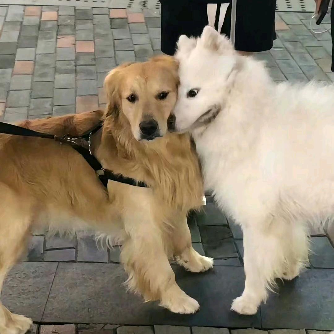 以七