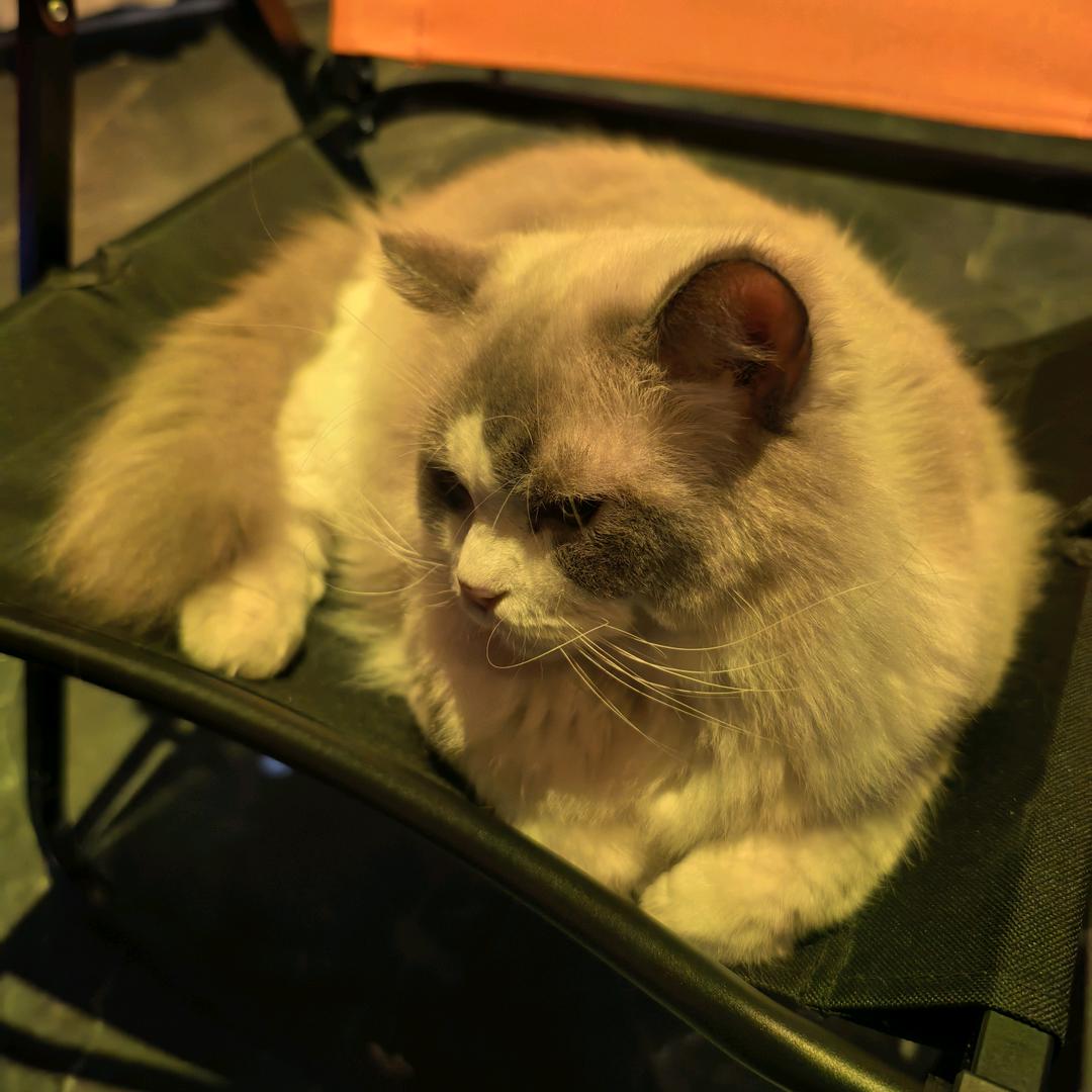 苏州泓睿祥纺织-小顾