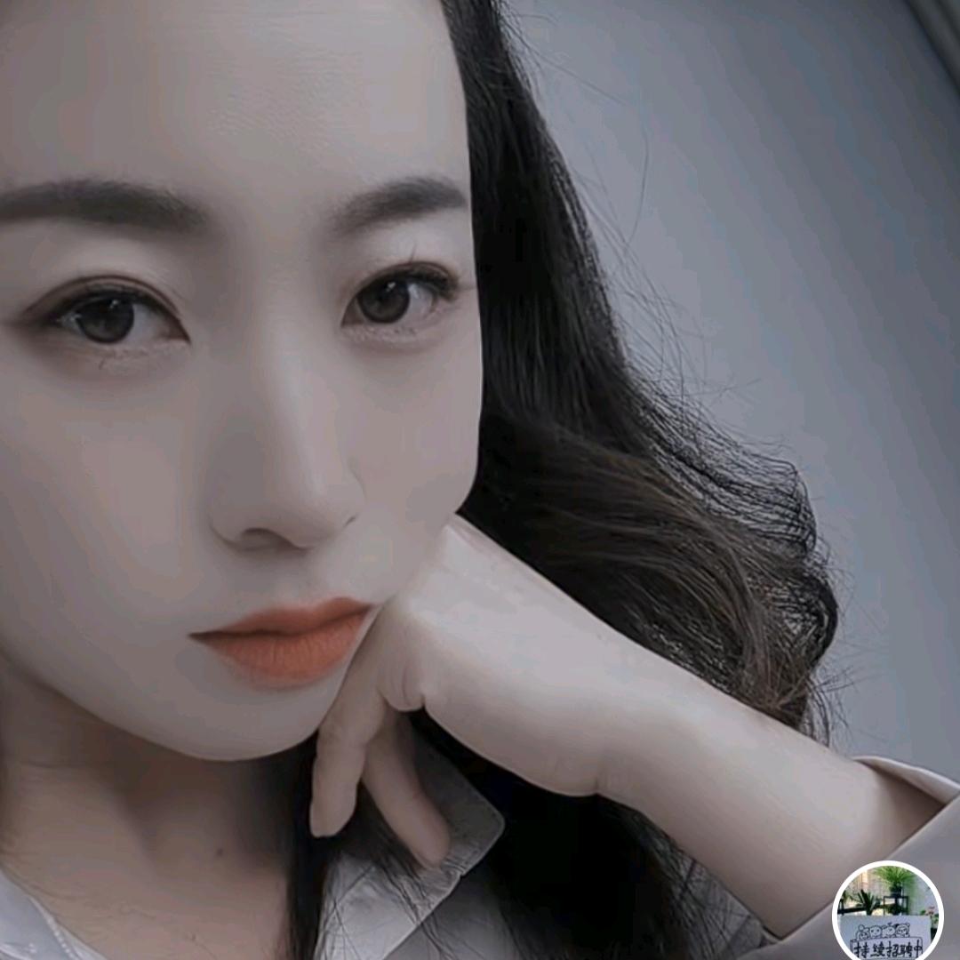 临泉就业咨询