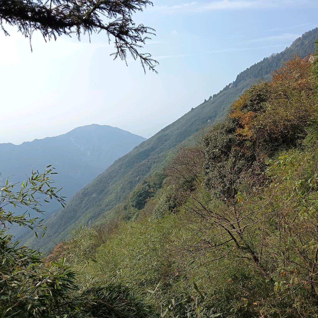 方红艳