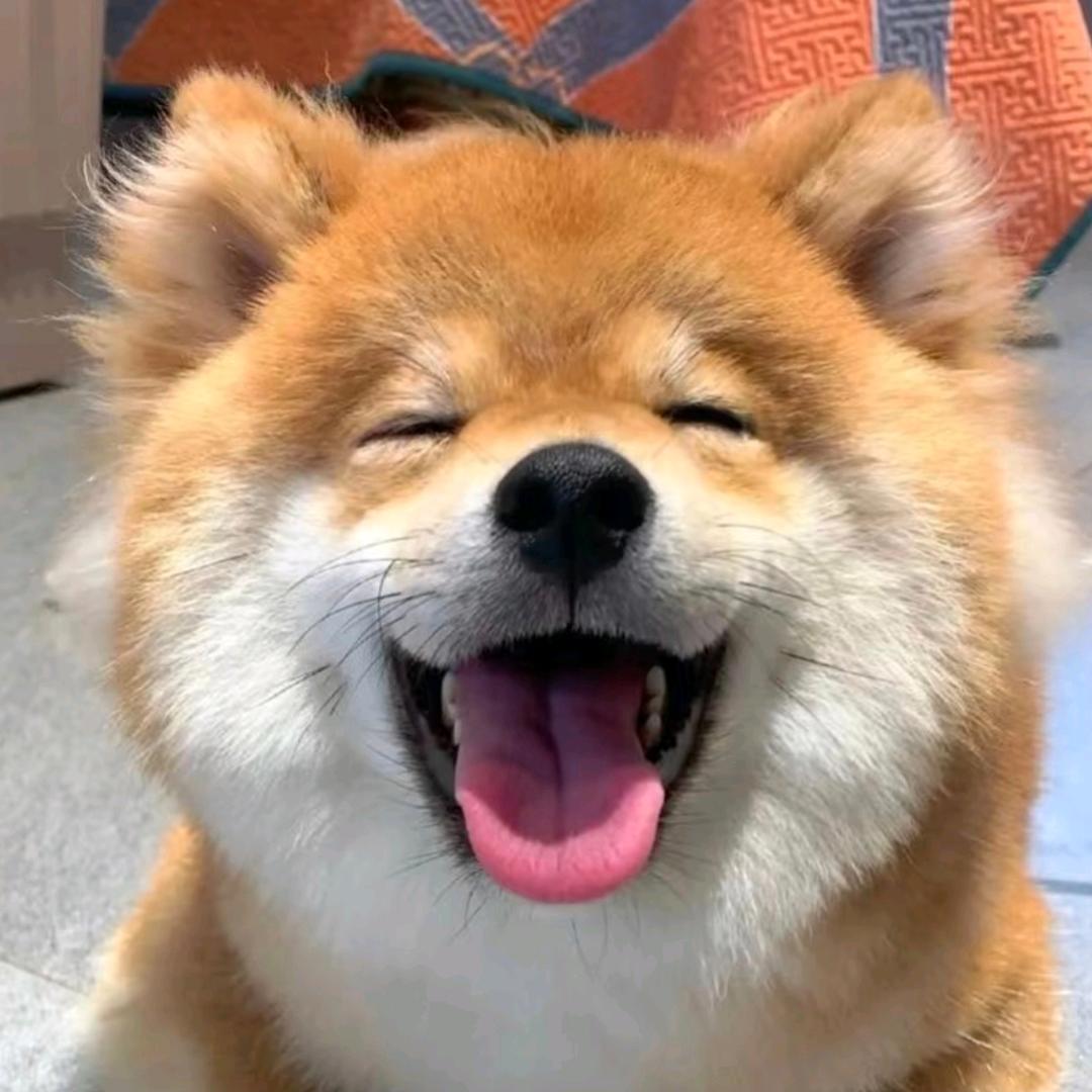 王笨