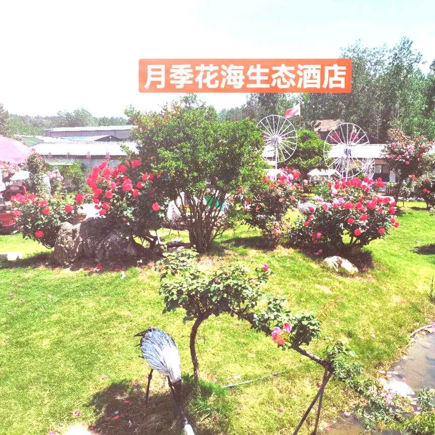 月季花海生态酒店