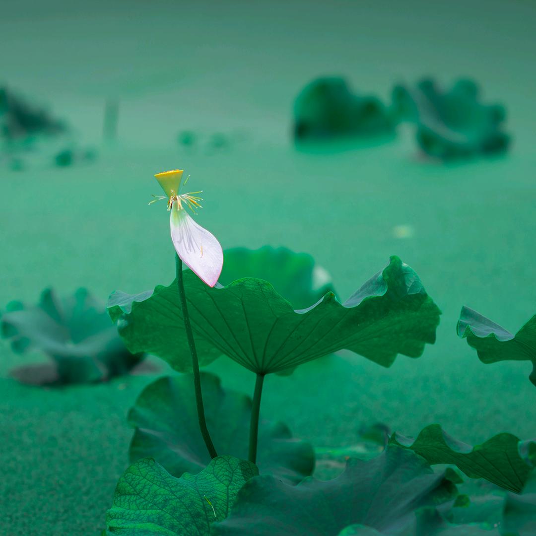 画里画外
