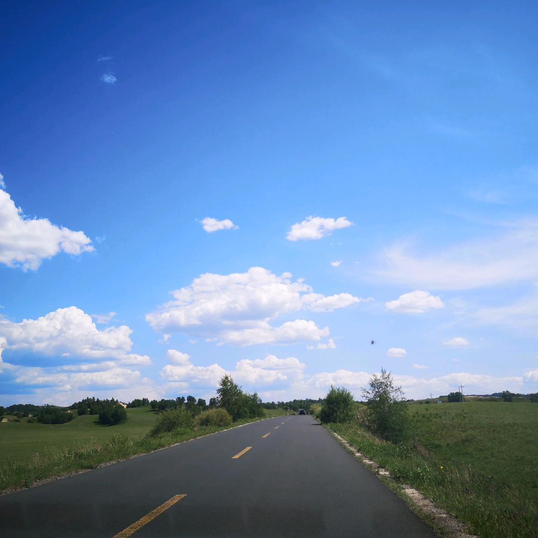 数据科学研究员