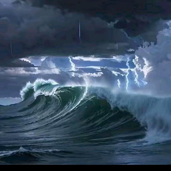 南 ，士。建 康王姐