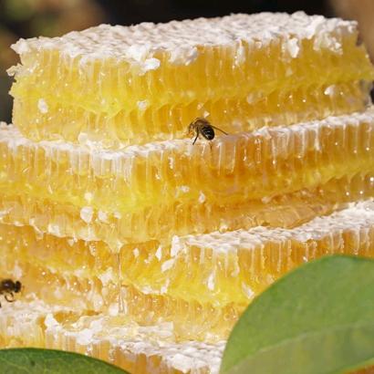 万事鑫大山土蜂蜜