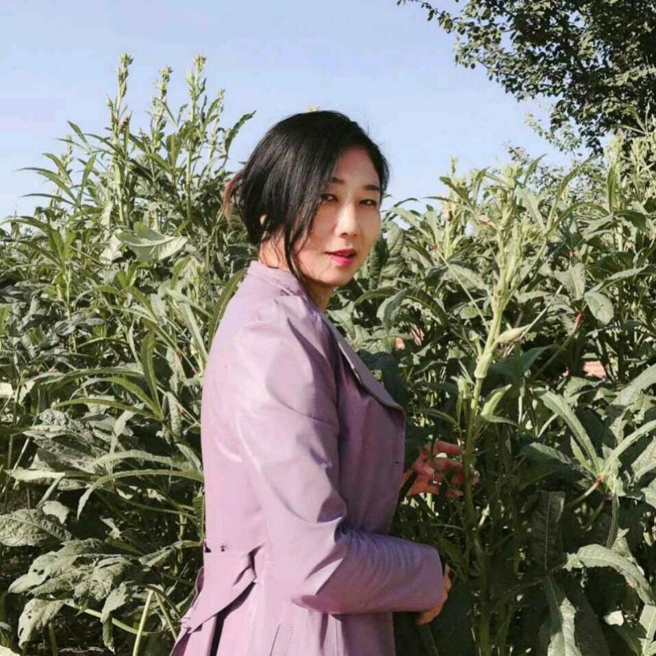 丽儿三姐()