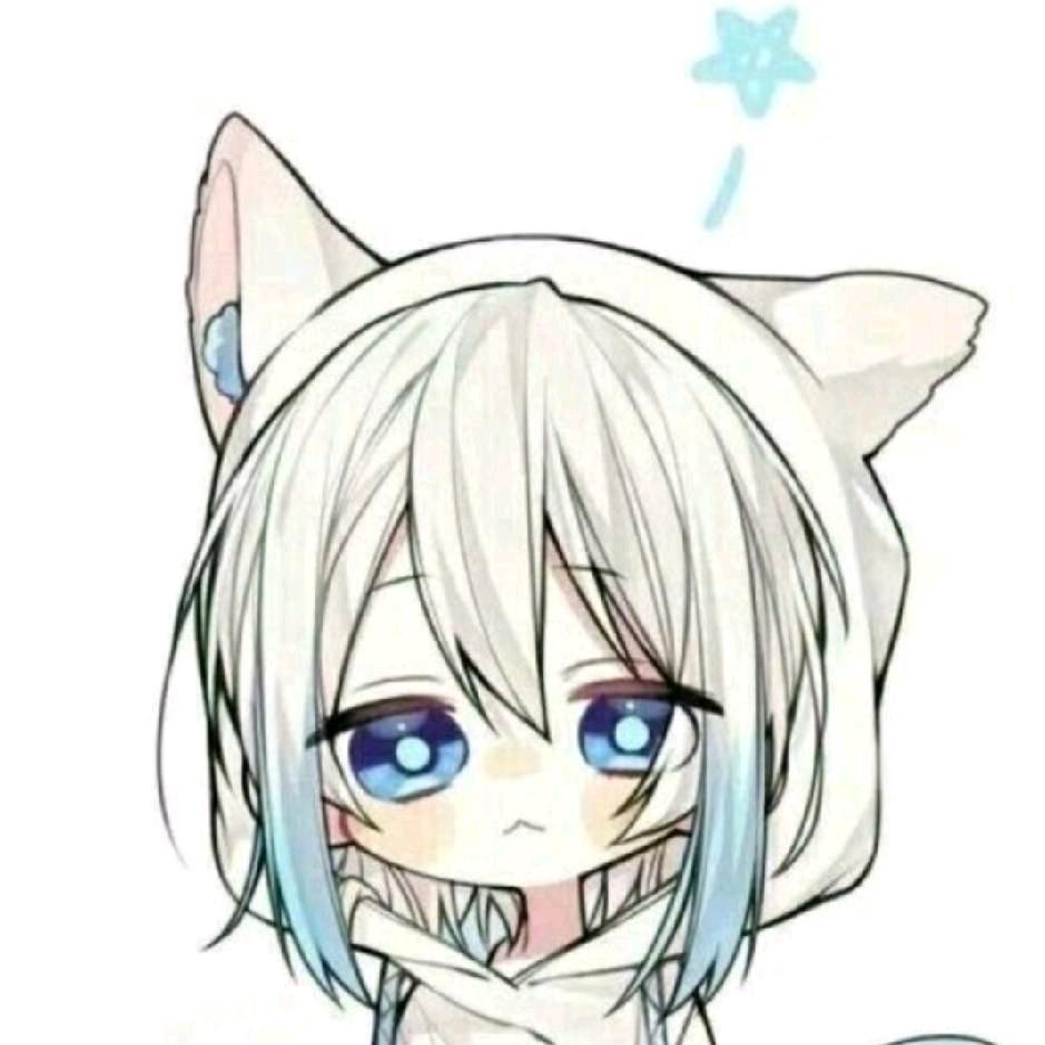 极度懵蝶
