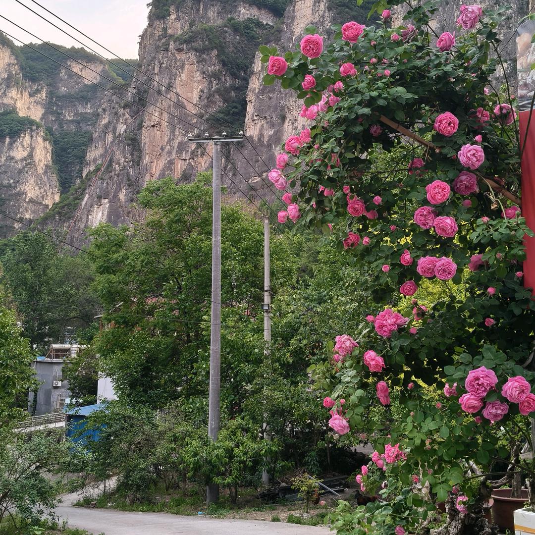 后河沟农家